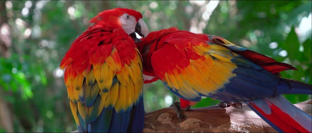 微信圖片_20221203092504