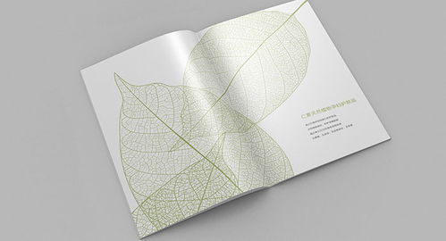 福州品牌設計策劃與軟件開發 古柏廣告設計的整合之道